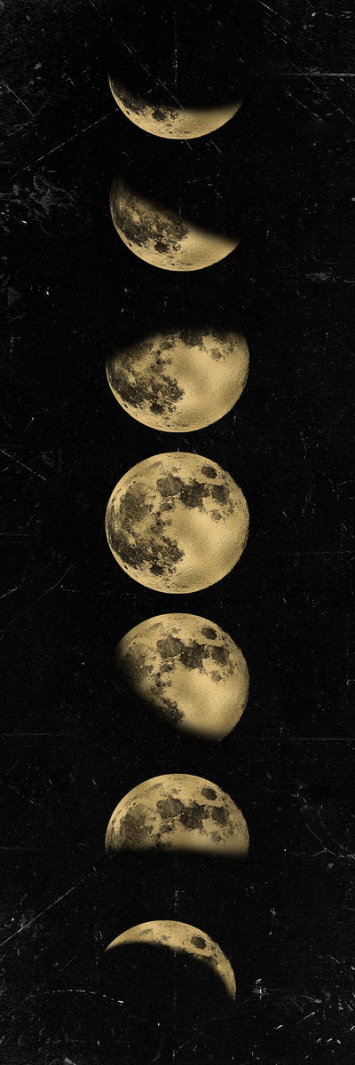 Wall Art Moon Phase Gold Black Posters